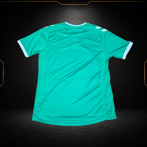 AS Saint-Étienne Heimtrikot 2022/23 (9.5/10) (L)