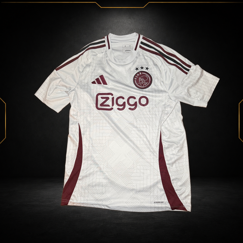 Ajax Amsterdam Dritttrikot 2024/25 (9.5/10) (M)