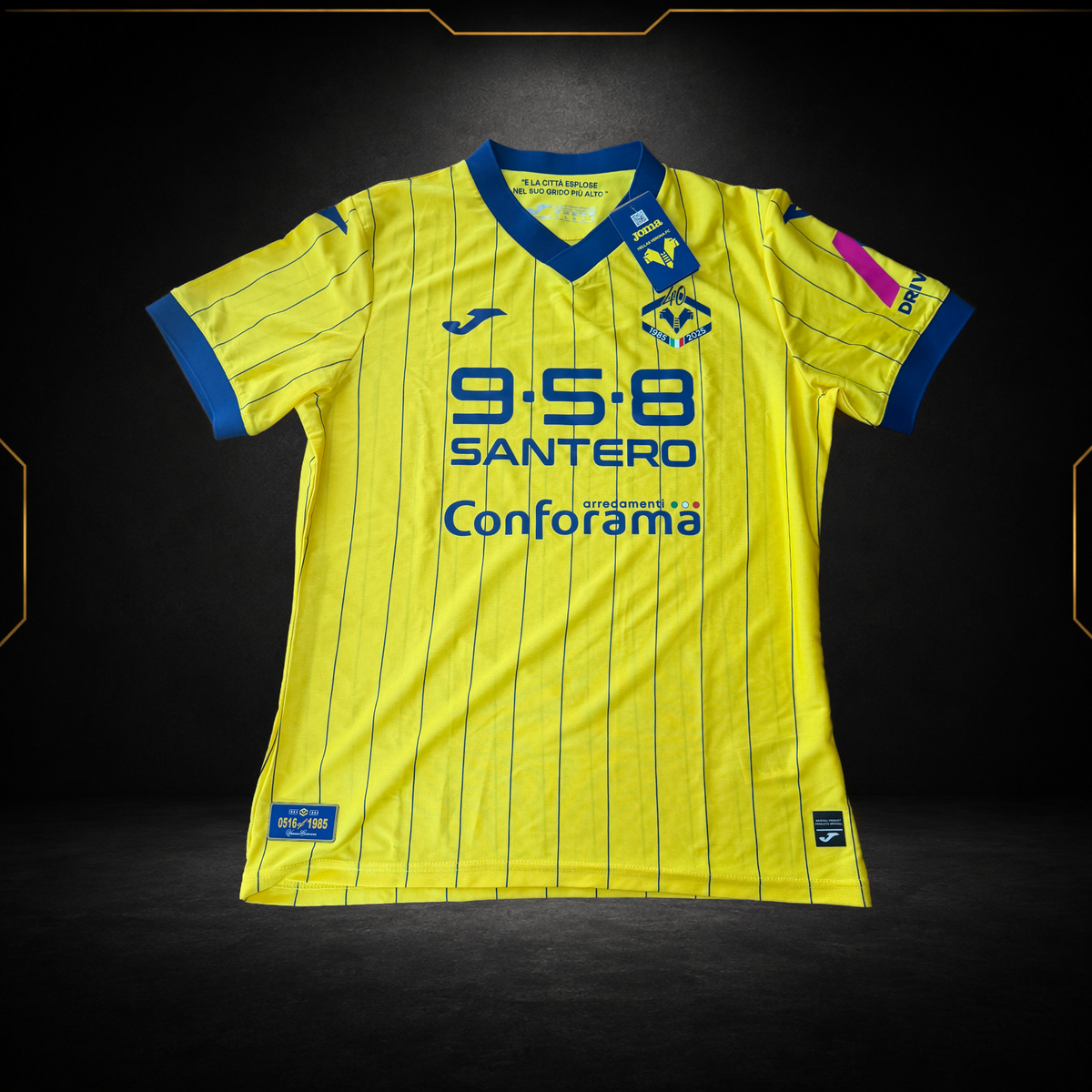 Hellas Vérone Fourth Jersey 2024/25 (10/10) (L)