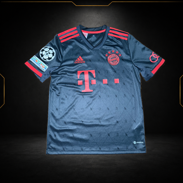Bayern Munich Third Jersey 2022/23 (9.5/10) (164)