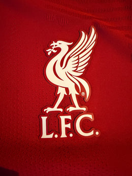 Liverpool 2020/21 Nike Vapor Match Trikot (9/10) (S)