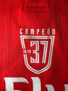 Benfica Home Jersey 2018/19 (9/10) (L)