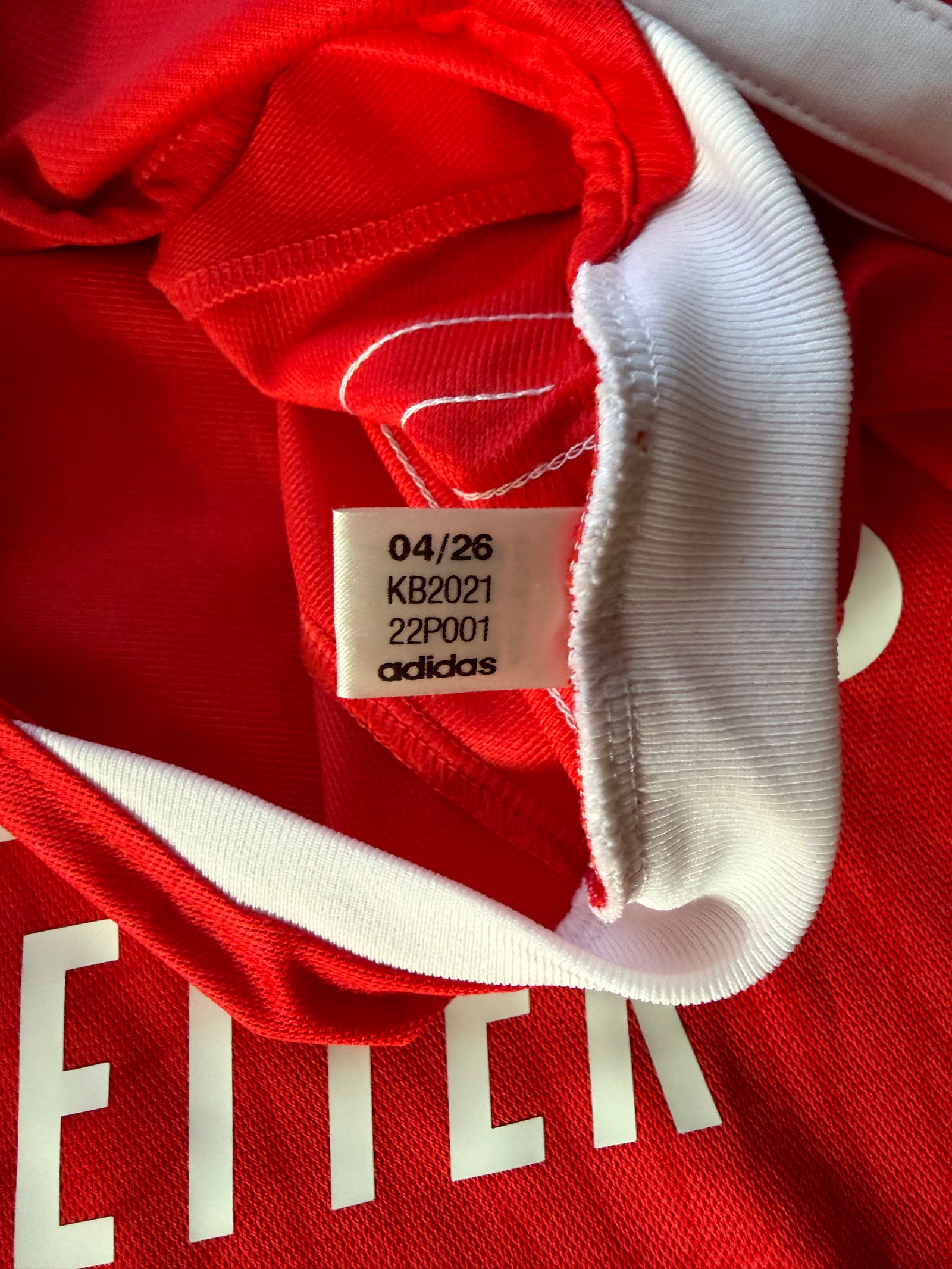 Benfica Home Jersey 2026/27 (9.5/10) (XL)