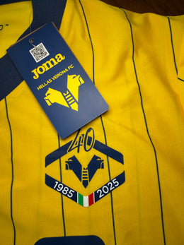 Hellas Vérone Fourth Jersey 2024/25 (10/10) (L)