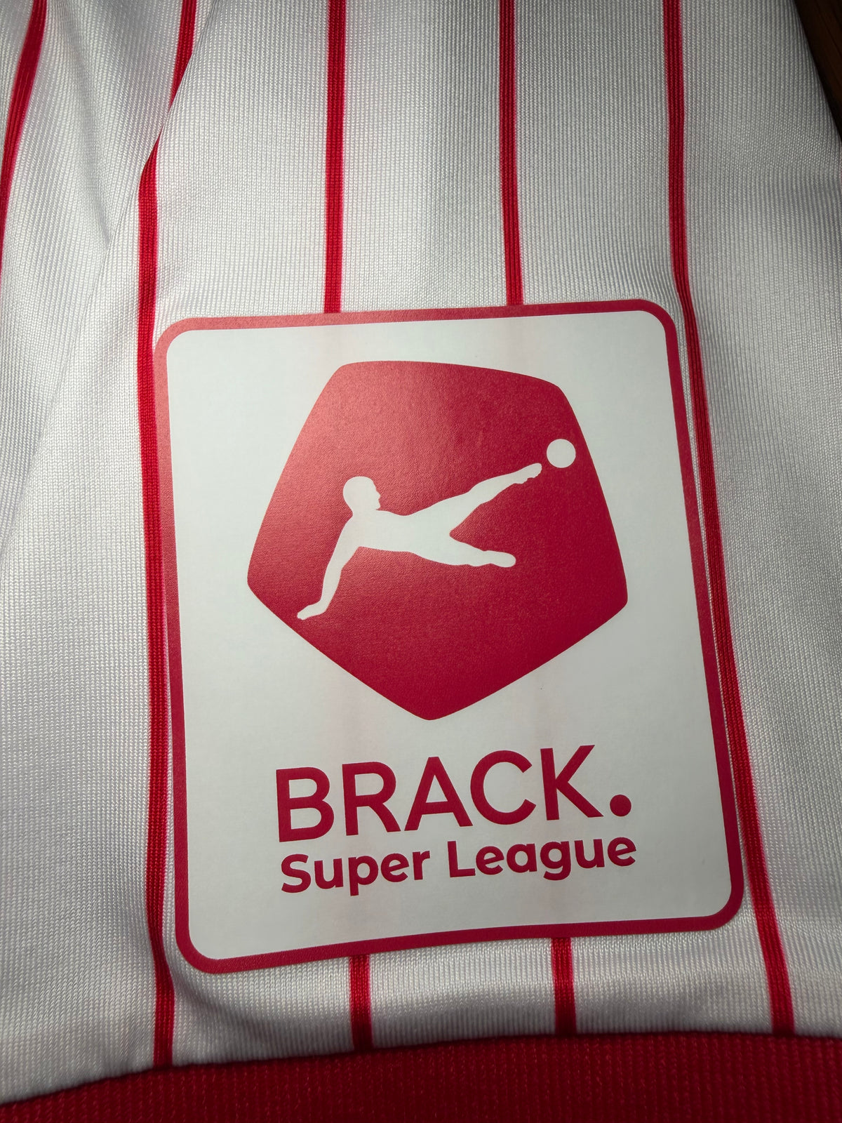 FC Sion Domicile 2025/26 Berdayes #29 – (10/10) (M)