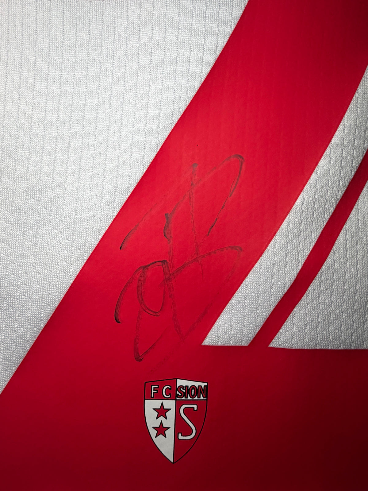 FC Sion Domicile 2025/26 Berdayes #29 – (10/10) (M)